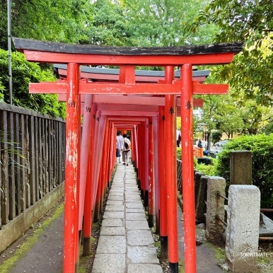 Nezu Shrine Senbon Torii Tokyo photo spot