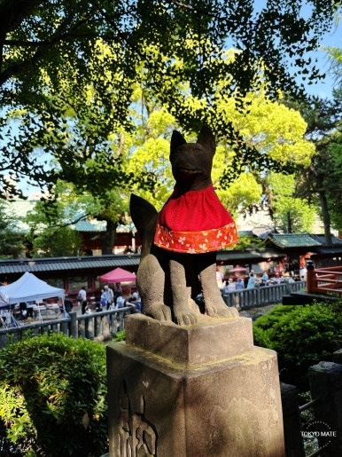 Otome Inari Shrine red torii