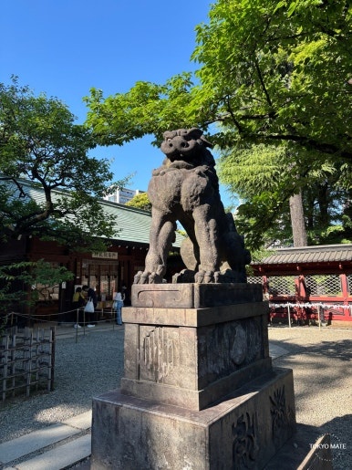 Nezu Shrine Tsutsuji-en azalea garden