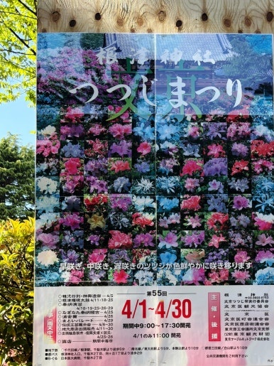 Tsutsuji-en azalea garden hillside
