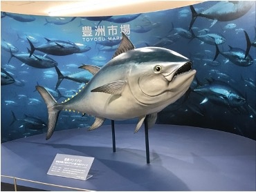 Giant tuna model display at Toyosu wholesale fish market observation deck