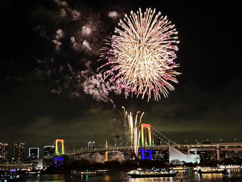 Odaiba Seaside Park observation deck fireworks view