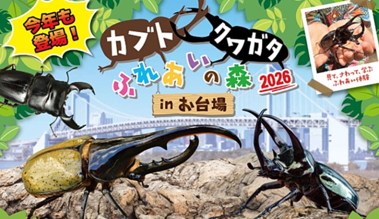 Decks Tokyo Beach beetle and stag beetle experience event