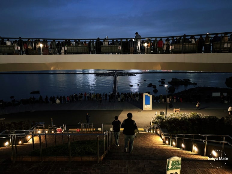 Odaiba Fountain Show — quieter viewing spot from the stairs