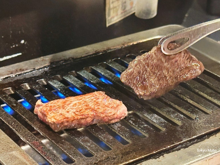 Odaiba Nikufes — meat festival
