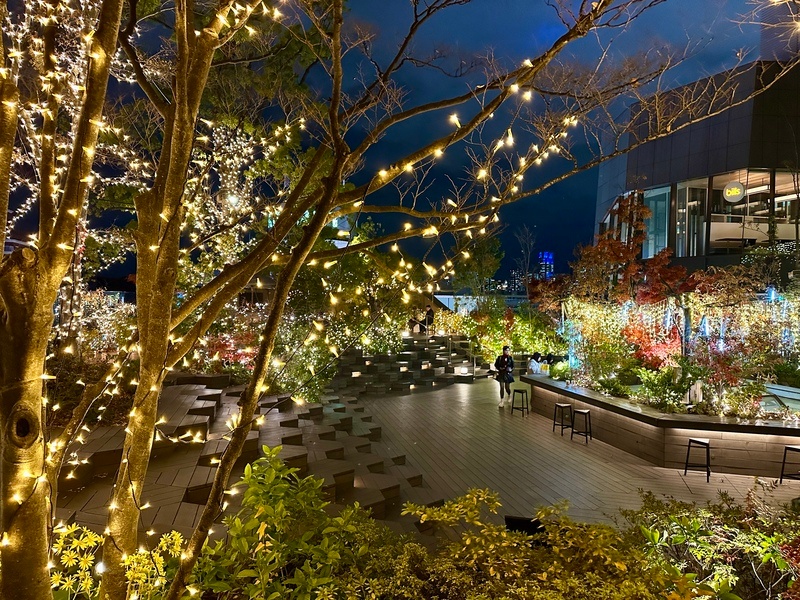 Tokyu Plaza Omokado 6F rooftop terrace night view