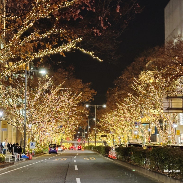 2025 Omotesando Illumination champagne gold street night view