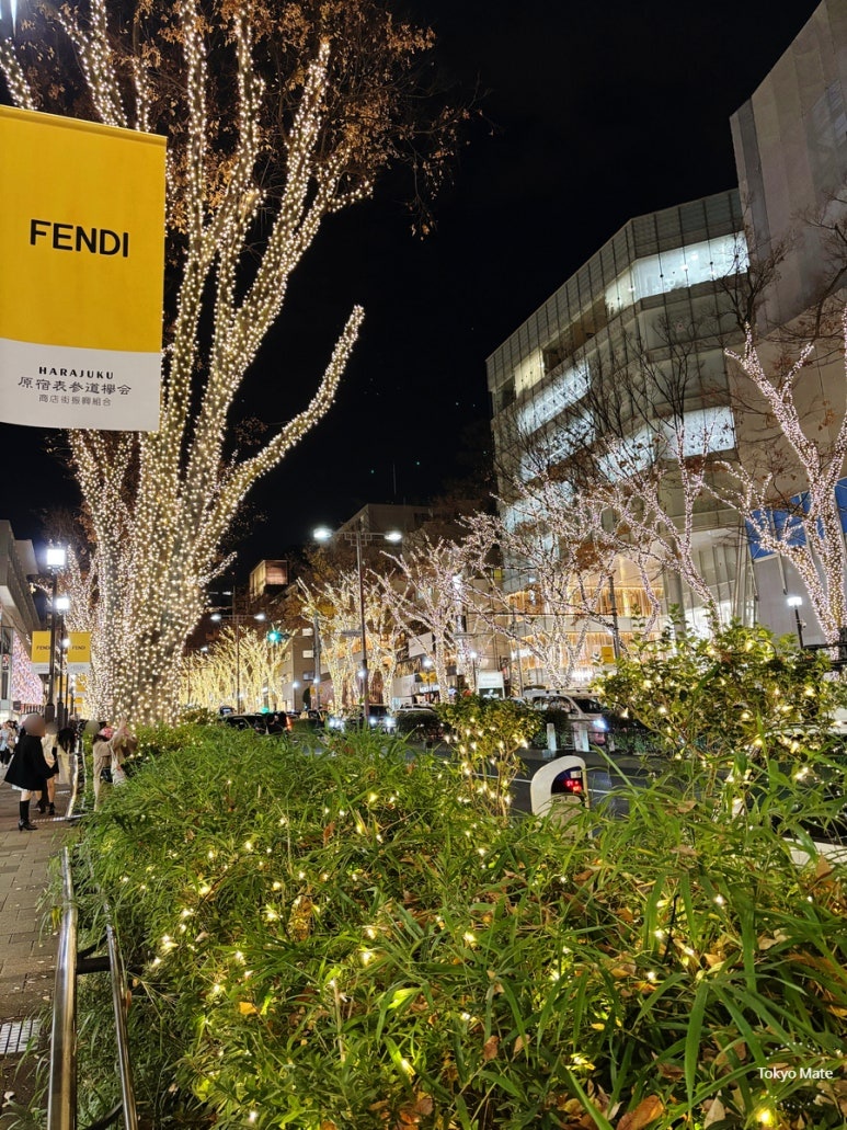 2025 Omotesando Illumination champagne gold keyaki tree view