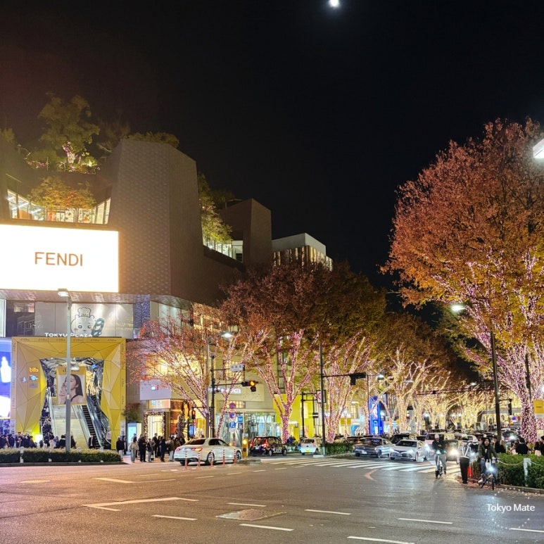 Omotesando Illumination and Omokado observation deck