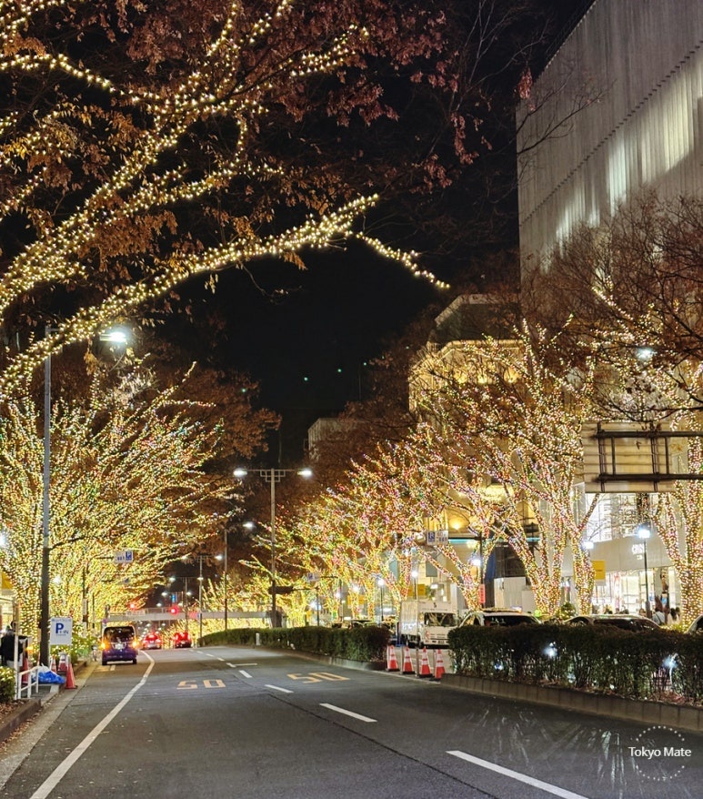 Omotesando Illumination Omotesando crosswalk & Apple Store