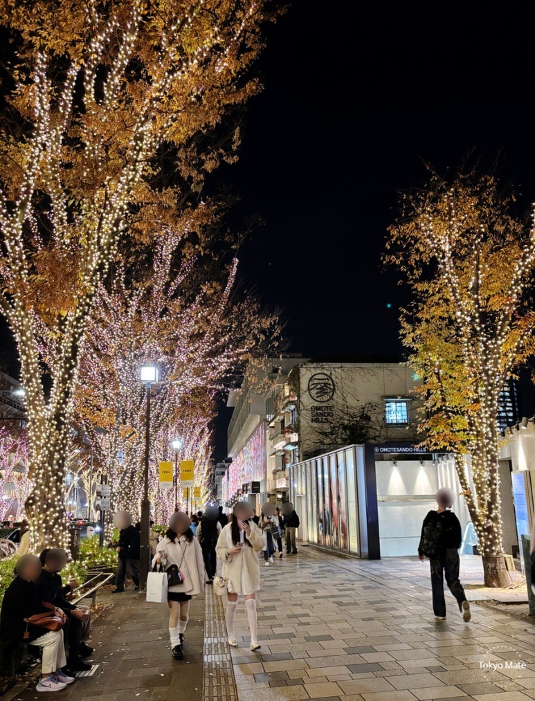 Omotesando Illumination Omotesando Hills entrance