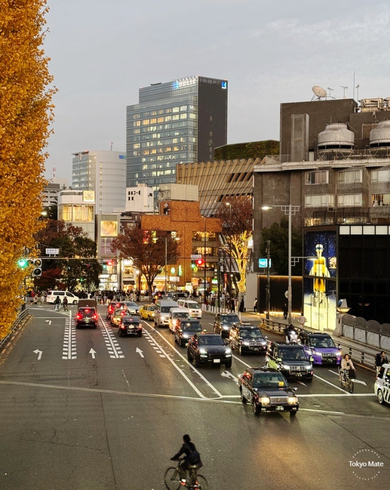 Omotesando Illumination photo spot Jingubashi footbridge