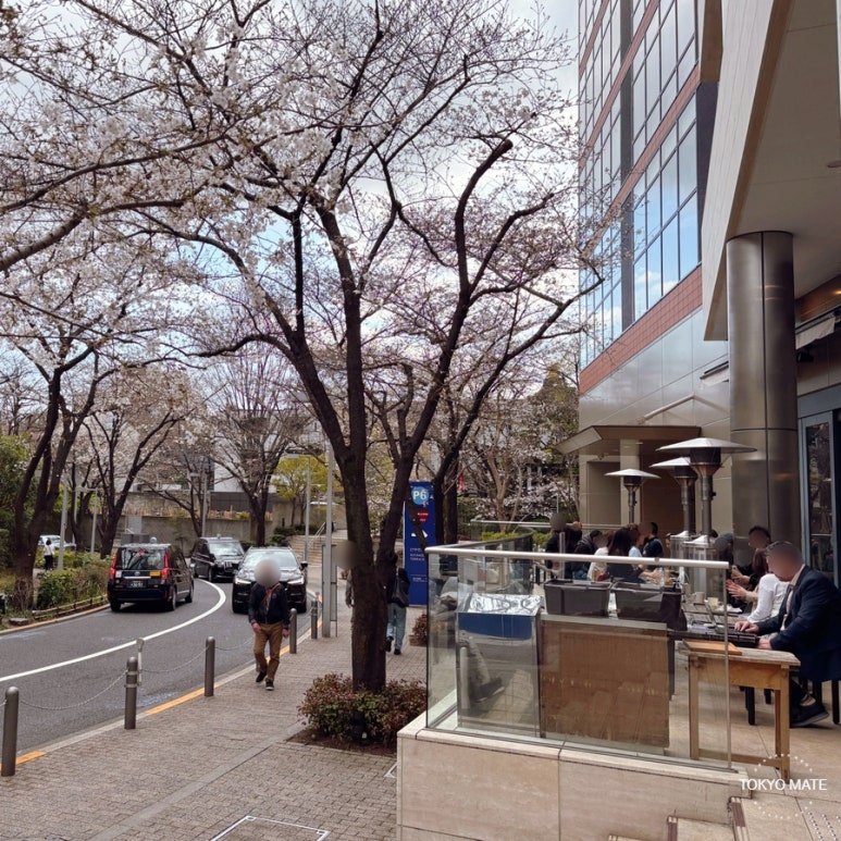 Bricolage Bread and Co. terrace seat with Sakurazaka cherry blossom view