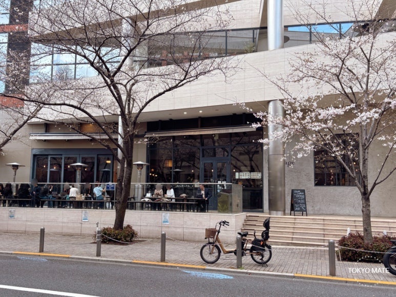 Keyakizaka Terrace at Roppongi Hills with full view of Sakurazaka cherry blossoms