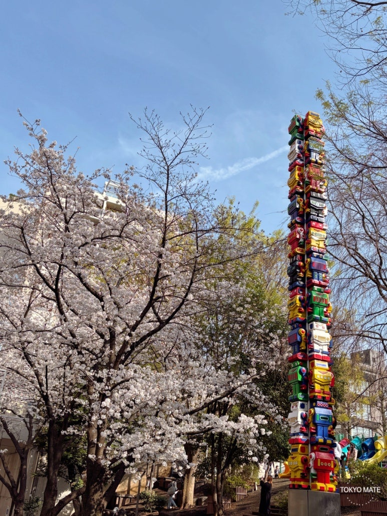 六本木散歩コースのさくら坂公園 桜のすべり台