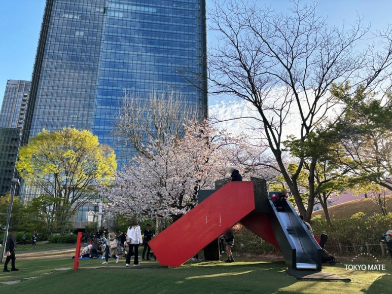 檜町公園の桜と遊具