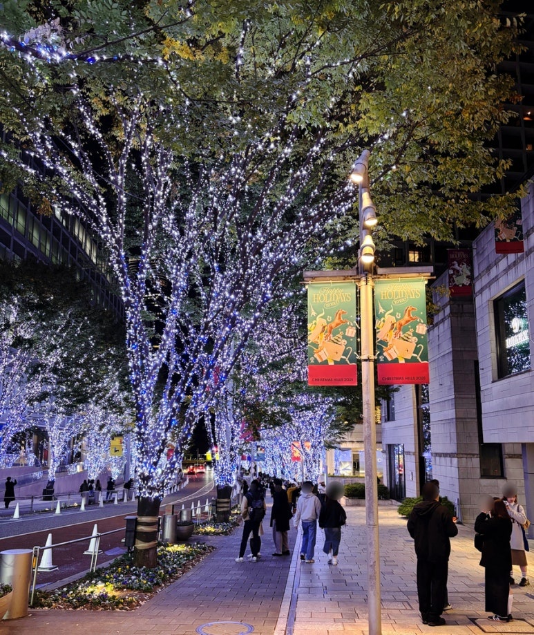 Roppongi Illumination 2025 Complete Guide - Schedule, Christmas Market & Photo Spots