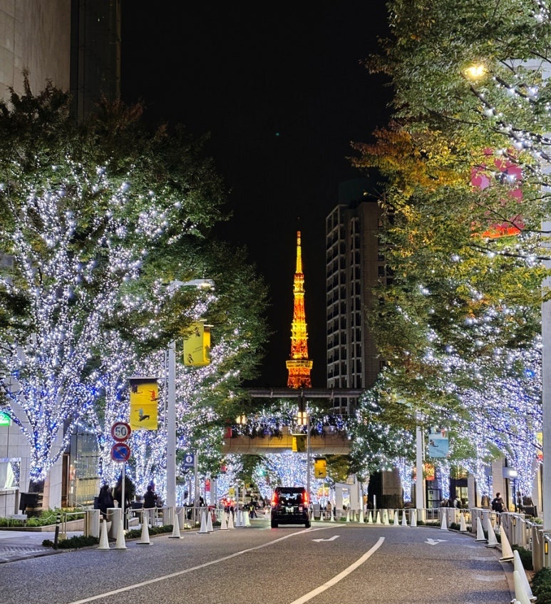 六本木彩灯官方打卡点B地点拍摄 榉树坂彩灯（Emporio Armani前）