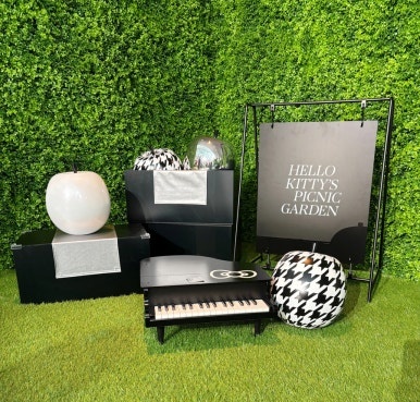 Picnic photo zone view 1