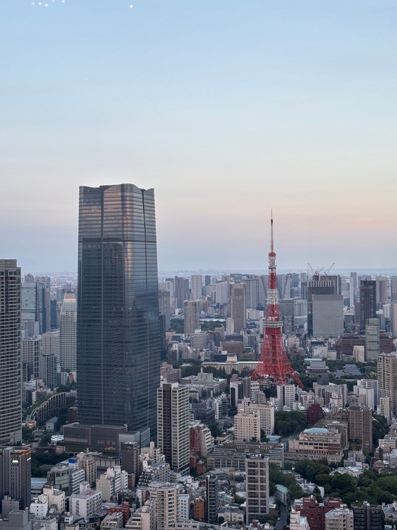 Magic hour view from Roppongi Hills Observatory