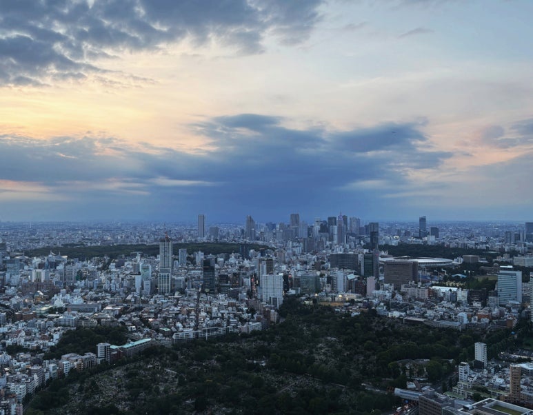 Shinjuku skyline viewed from Roppongi Hills Observatory