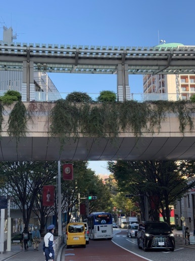 Pedestrian bridge on Keyakizaka in Roppongi Hills