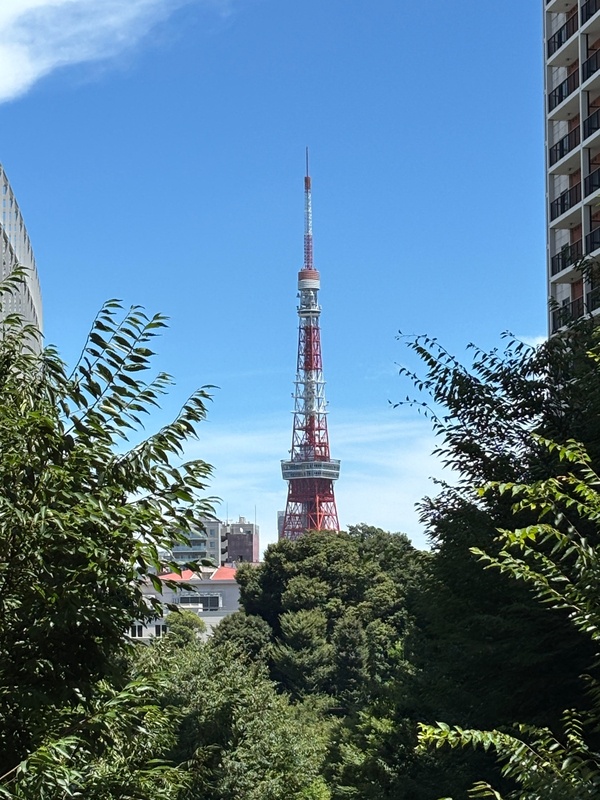 View of Tokyo Tower from Roppongi Hills Keyakizaka
