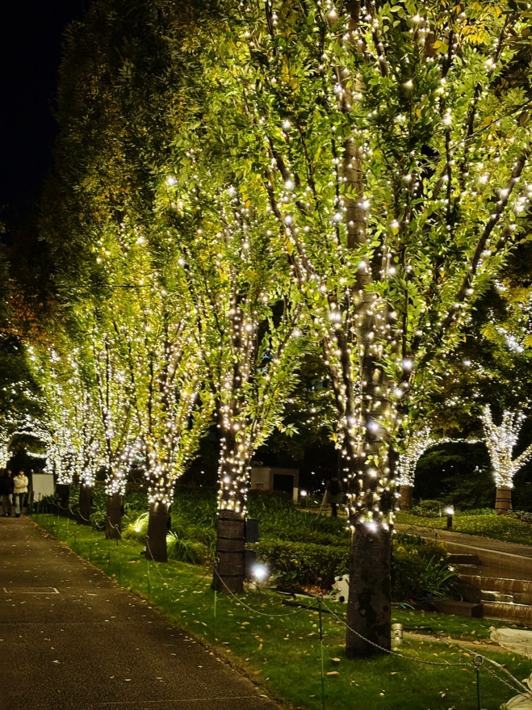 Gold-toned light promenade night view at Roppongi Tokyo Midtown