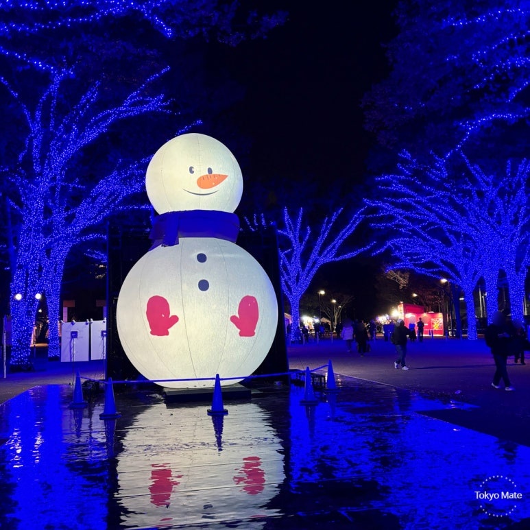 12月东京涩谷青之洞窟彩灯拥挤情况与冬季旅行穿着参考