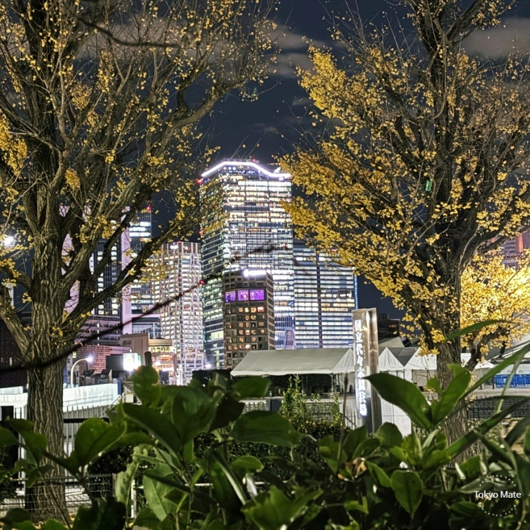 Night view of Shibuya Sky from Yoyogi Park