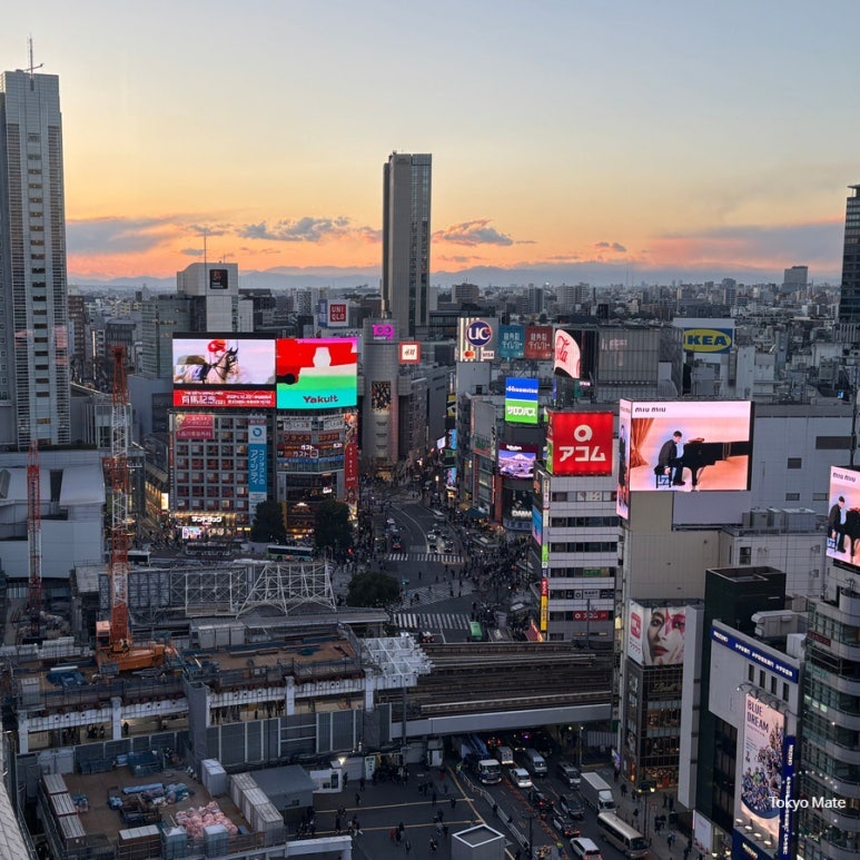 Shibuya Hikarie 11F Sky Lobby: Free Observation Deck, Sunset Views & Coin Lockers (2026)