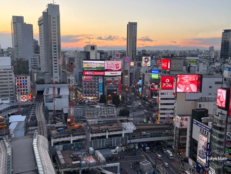 Shibuya Hikarie 11F magic hour sunset and night view