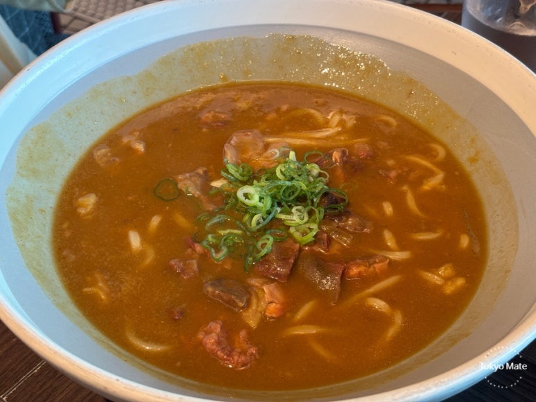 TsuruTonTan curry udon with rich Japanese curry sauce