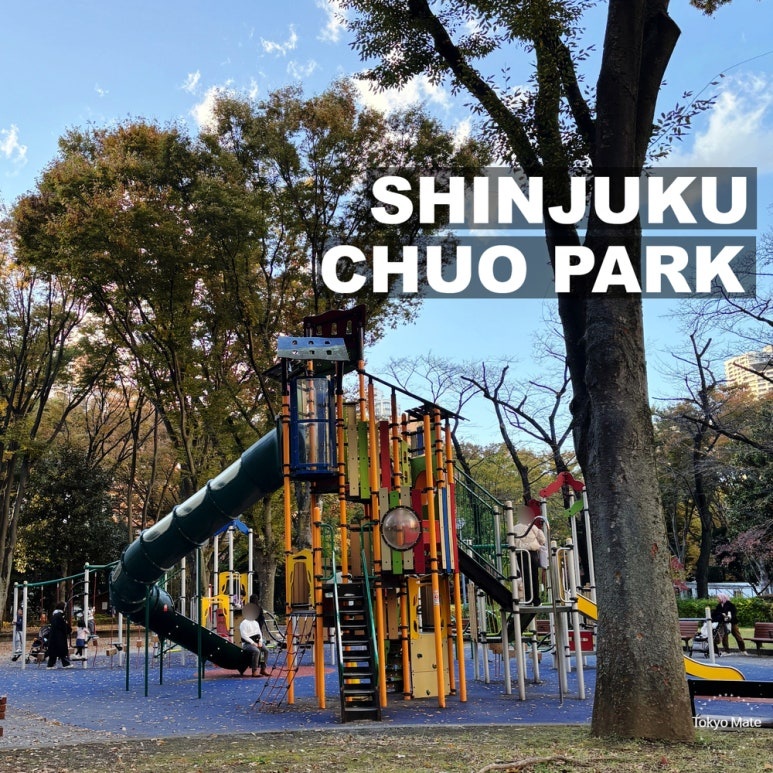 Shinjuku Chuo Park Complete Guide | Starbucks SHUKNOVA, Playground, Illumination & Tokyo Metropolitan Government Observatory