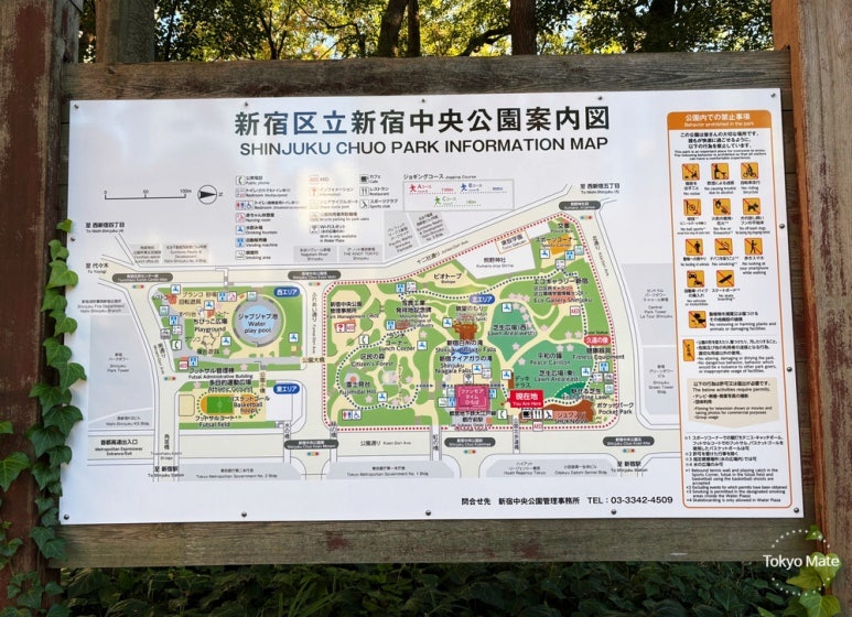 Shinjuku Chuo Park Map