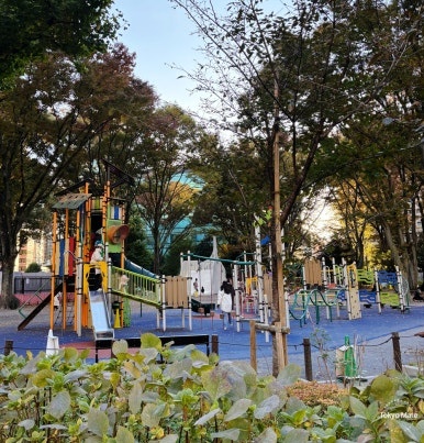 Playground 4