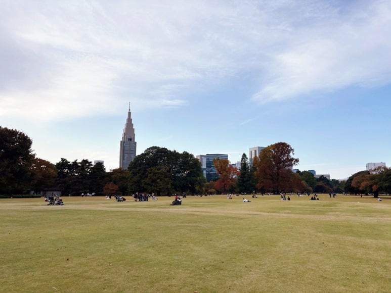 Tokyo Shinjuku Gyoen landscape | Urban national garden scenery