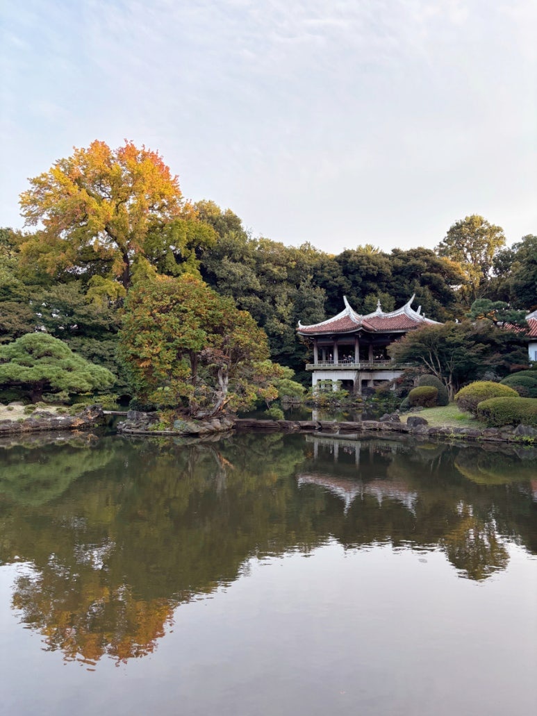 Shinjuku Gyoen Japanese garden autumn leaves | Tokyo autumn foliage spot