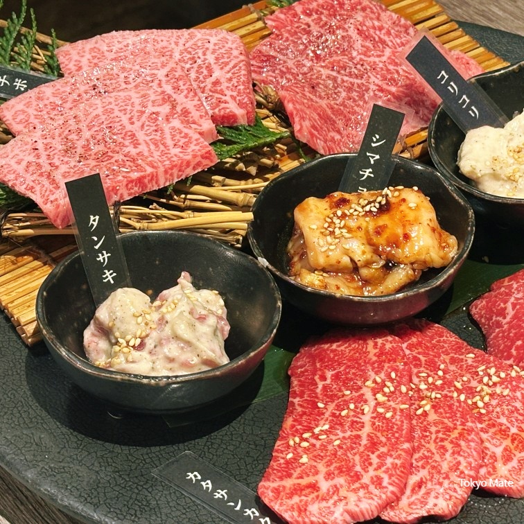 Shinjuku Yakiniku All-You-Can-Eat BEST 3 | Wagyu Buffet Comparison Guide