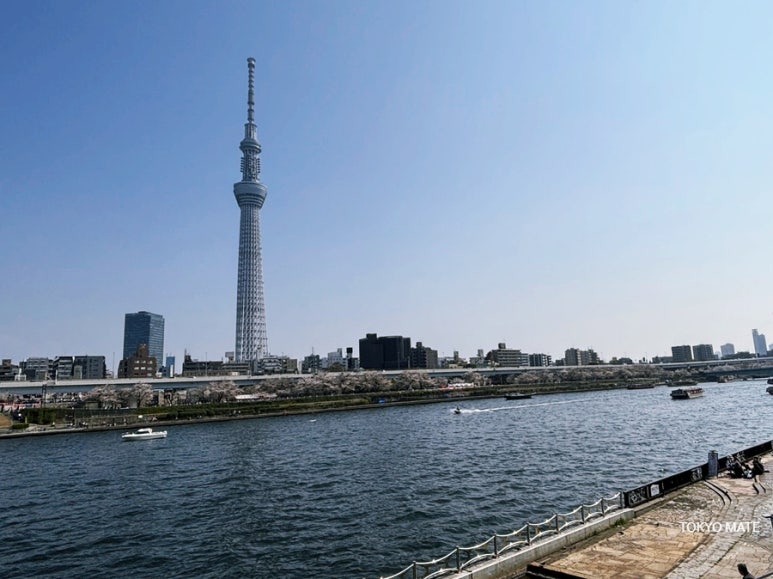 Sumida Park on the Taito Ward and Asakusa side near Sakurabashi, a free riverside viewing spot in Tokyo in July
