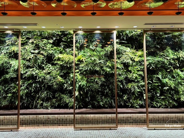 LUFTBAUM 28F rooftop entrance at Takanawa Gateway City