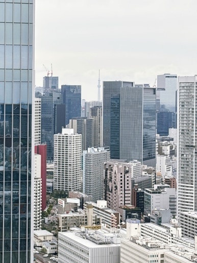 LUFTBAUM Yamabuki-no-Niwa Tokyo Skytree view