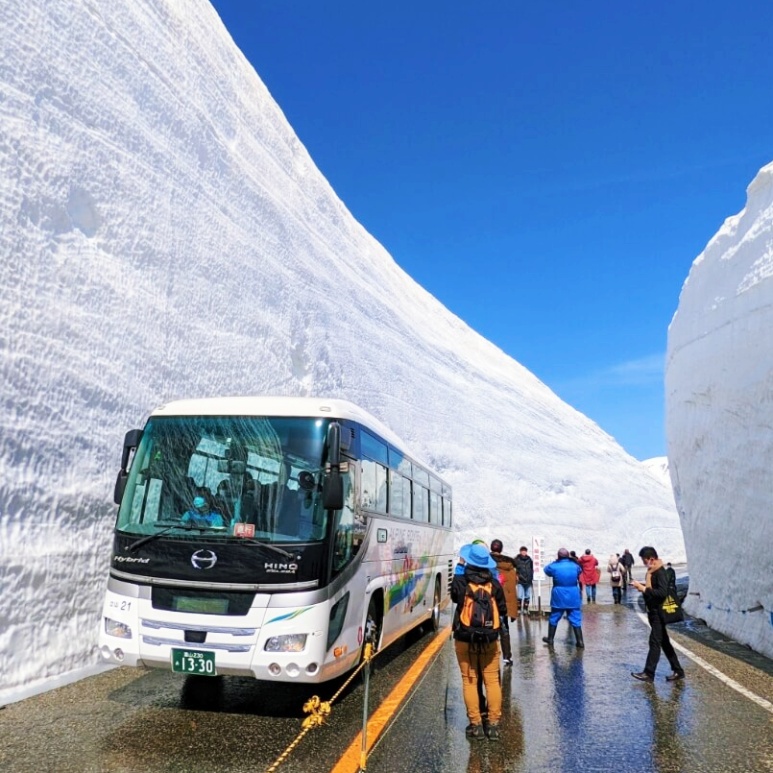 Japan Alpine Route 2-Day Itinerary from Tokyo: Murodo Snow Wall Course (2026)