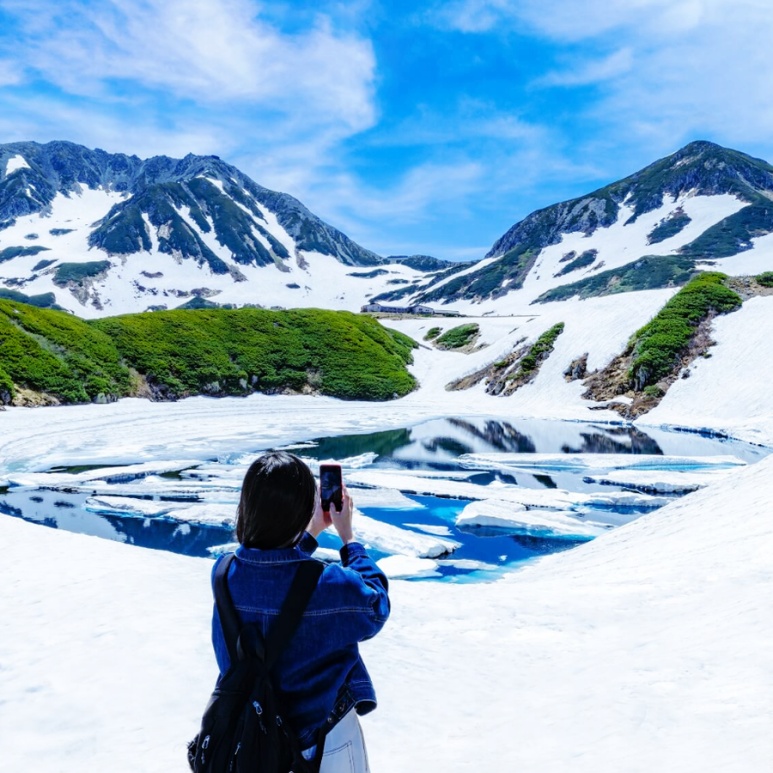 Japan Alpine Route Pass vs Web Ticket Comparison: Tokyo Departure Ticket Guide (2026)