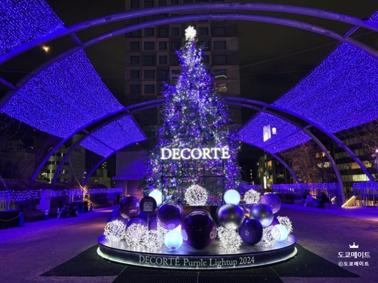 Tokyo 3-Day Christmas Illumination Itinerary: Complete Route & Budget Guide (Markets, Transportation & Costs)