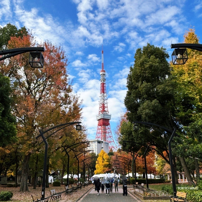 Tokyo 3-Day Itinerary with Disney: Shibuya Sky, Budget & Complete Guide