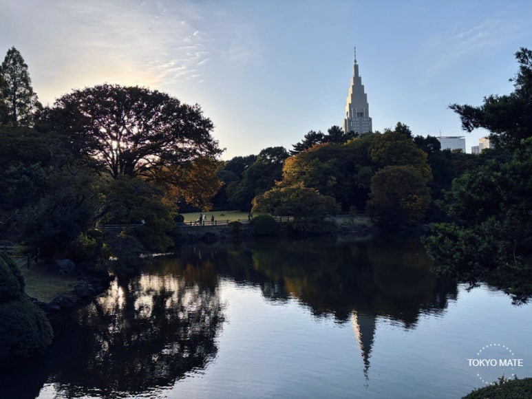 Shinjuku Gyoen garden with pond and greenery