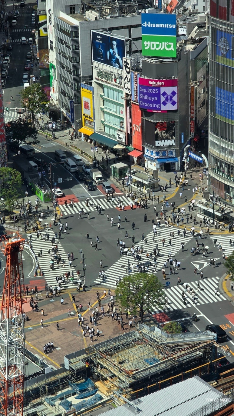 Shibuya Scramble Crossing | Essential Photo Spot for Tokyo Independent Travel