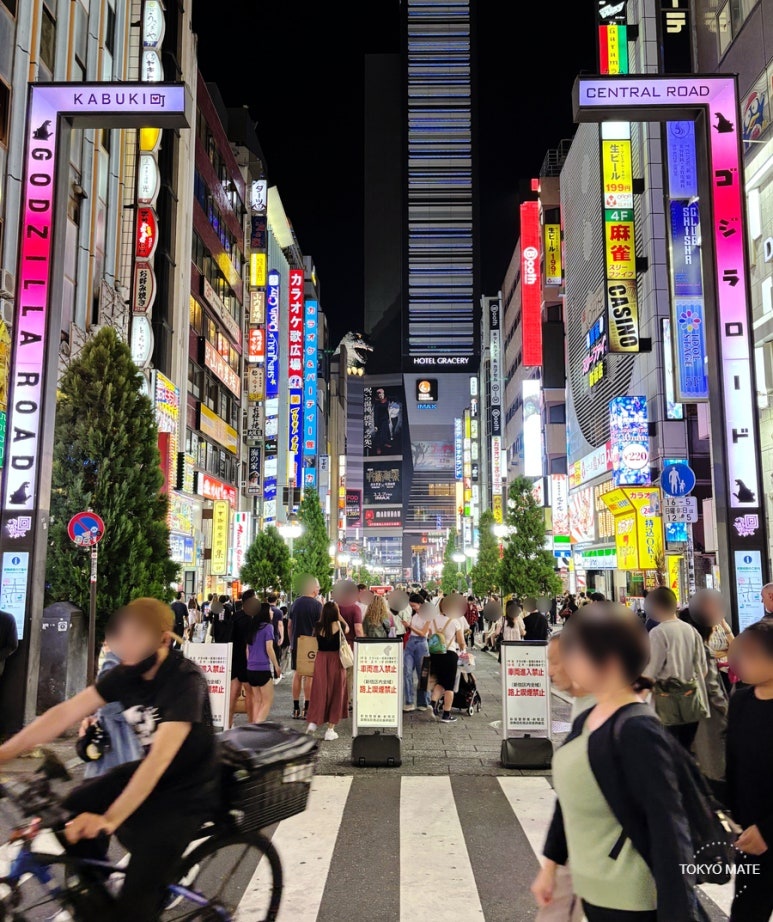 Shinjuku Kabukicho's dazzling neon signs