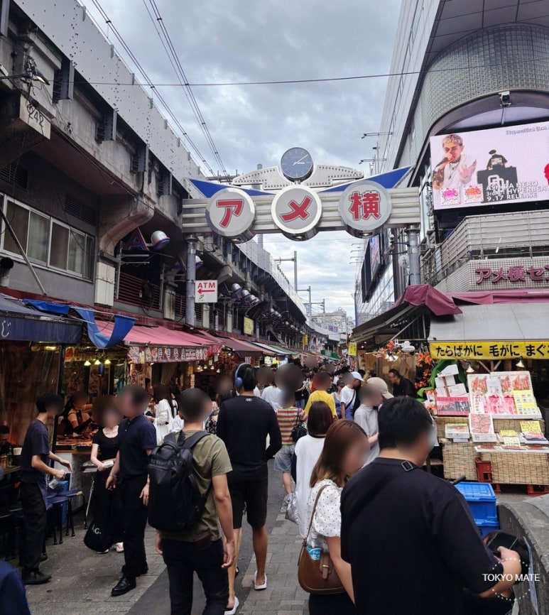 Vibrant Ueno Ameyoko Market
